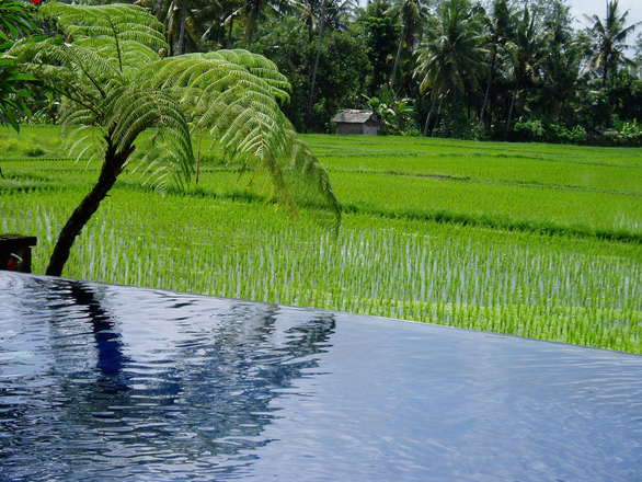 rencontres bali
