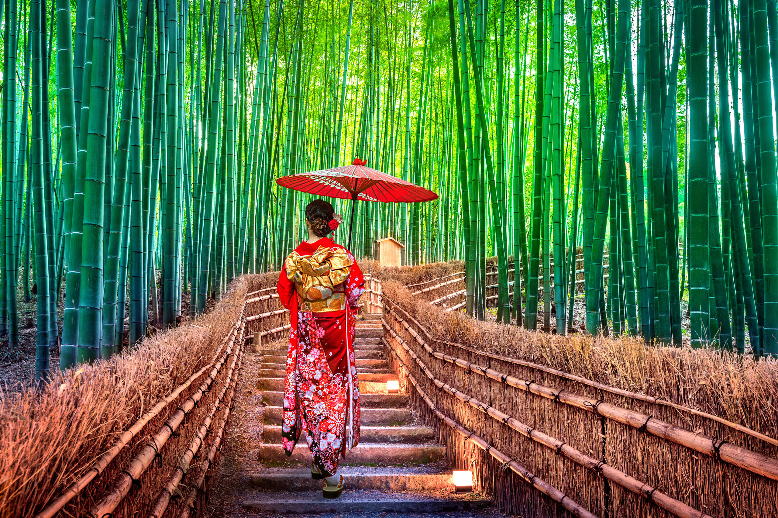Couleurs du Japon